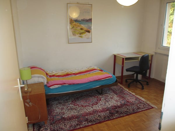 Chambre à louer dans un appartement meublé en colocation 3