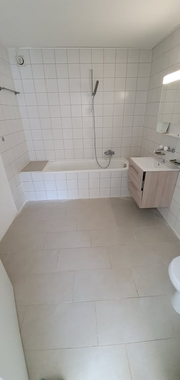 Appartement 4.5 pièces spacieux et lumineux 3