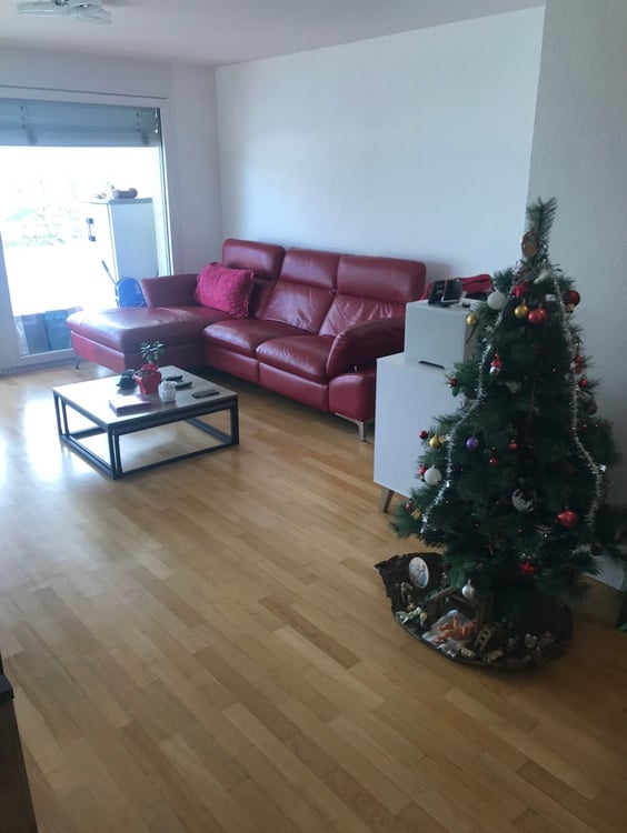 BEL APPARTEMENT ENSOLEILLÉ 4