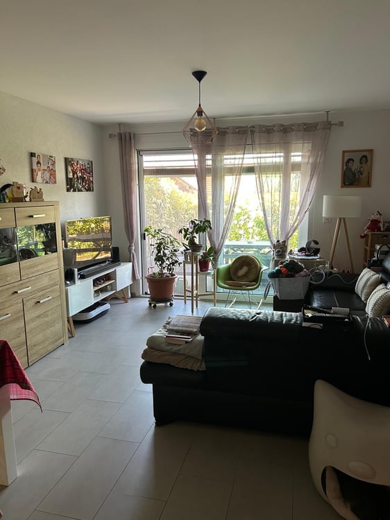 Appartement de 3,5 pièces à vendre à Promasens 3