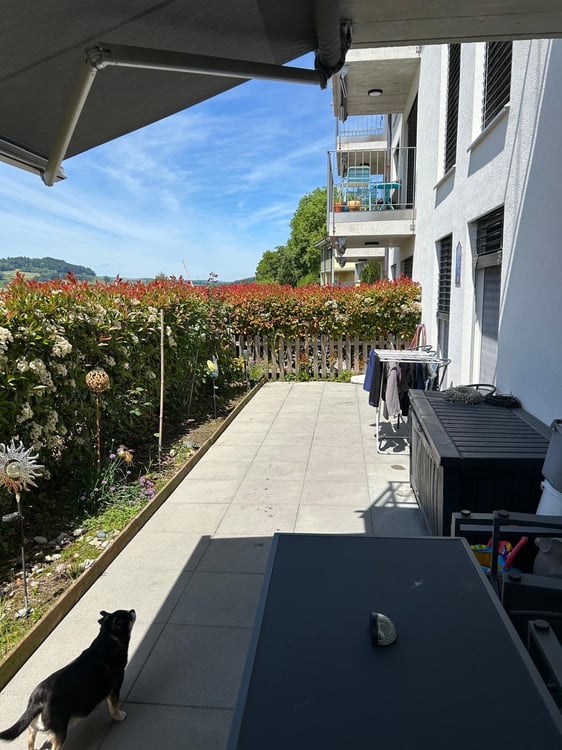 Appartement de 3,5 pièces à vendre à Promasens 1