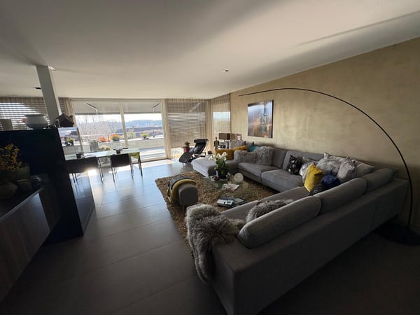 Splendide et vaste appartement 13