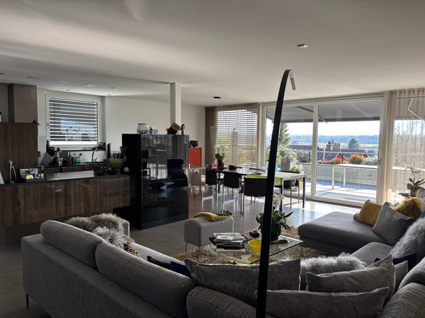 Splendide et vaste appartement 4