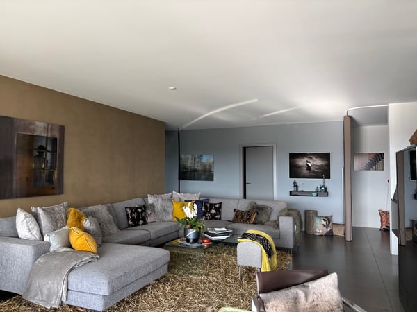 Splendide et vaste appartement 6