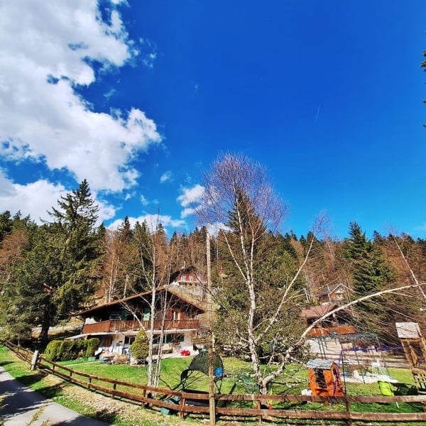 CHARMANT CHALET avec vue panoramique à St-Cergue 9