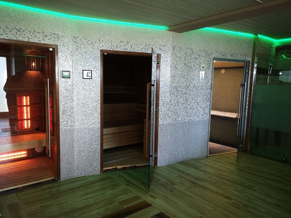 VILLA AVEC ESPACE WELLNESS 5