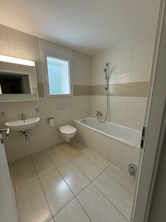 Appartement 4.5 pièces avec jardin et terrasse à louer 3