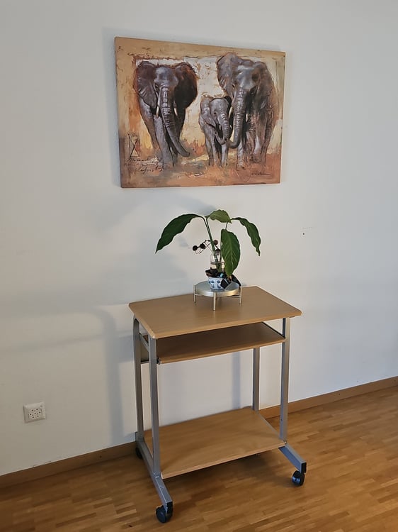 Belle chambre avec salle douche et WC chez l'habitant 2