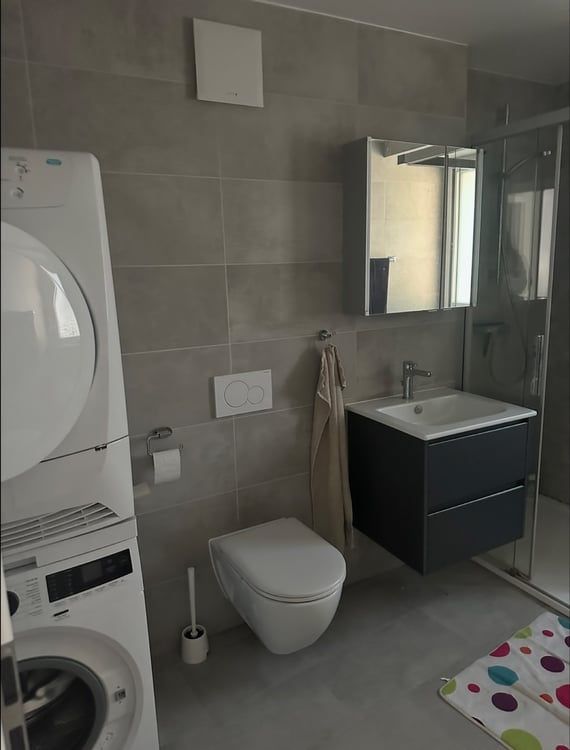 Appartement à louer à ballens 2
