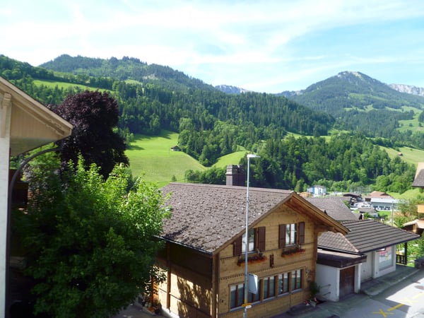 Helle 4 1/2-Zi-Wohnung mit sonnigem Balkon zu vermieten 5