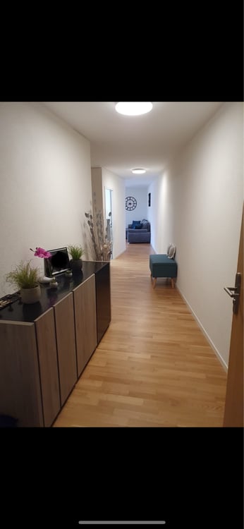 Grand 2.5 pièces à Porrentruy 2