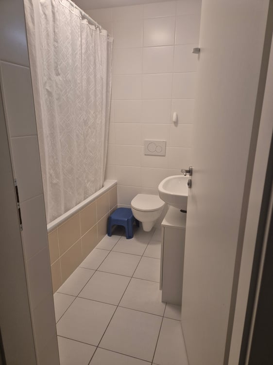 4.5 pièces 110m2 5