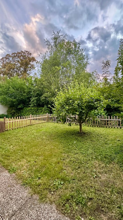 SOUS-LOCATION : 3,5 pièces meublé avec terrasse et jardin 5