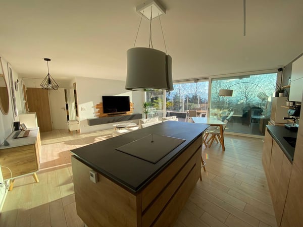 Vacances à Lausanne, bel appartement meublé, luxueux 4
