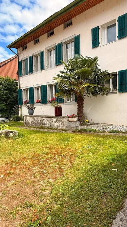 Appartement 4,5 pièces , quartier calme 5