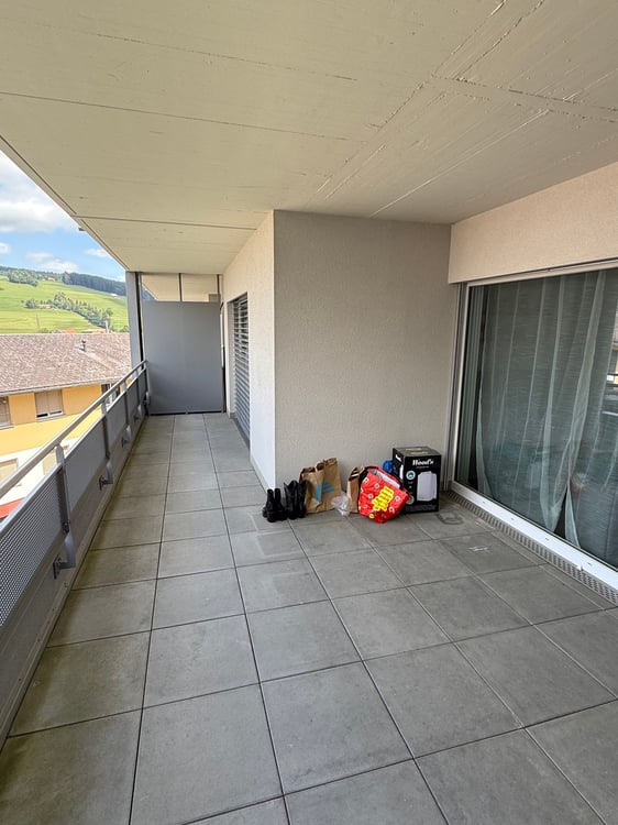 Joli 2.5 pièces avec grande terrasse 4