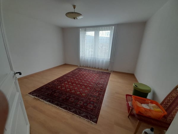 Appartement 3 pièces lumineux, garage et grand jardin inclus 3