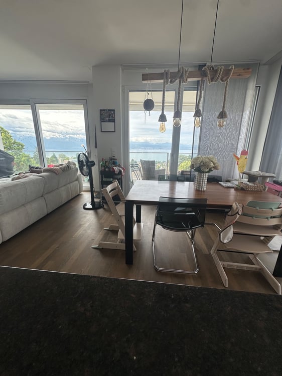 Magnifique Appartement à 5min du CHUV 3