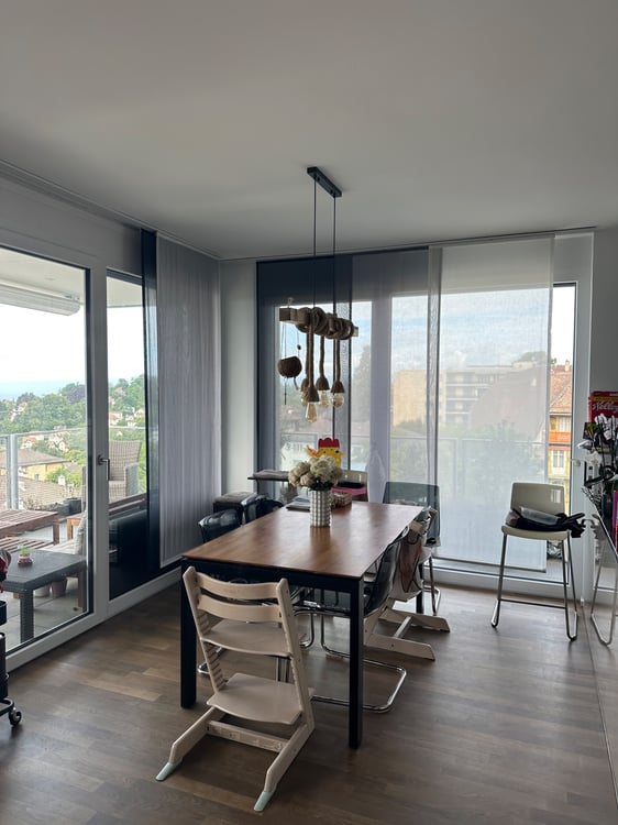 Magnifique Appartement à 5min du CHUV 5