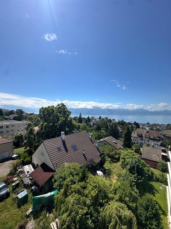 Magnifique Appartement à 5min du CHUV 2
