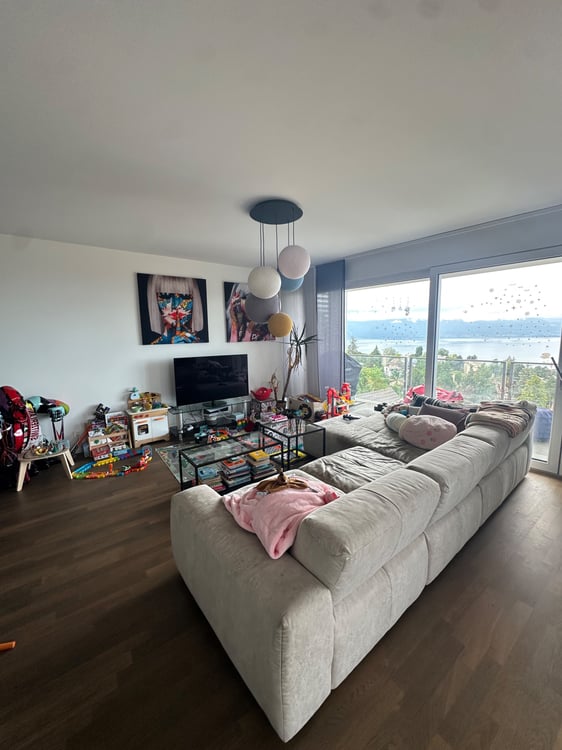 Magnifique Appartement à 5min du CHUV 4