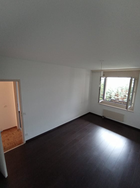 Chambre en coloc, duplex 4 pièces, Thônex. Reprise de bail 4
