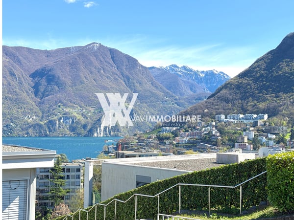 LUGANO: APPARTAMENTO TOTALMENTE RINNOVATO 1