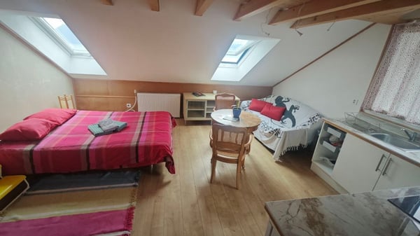 Studio avec mezzanine vue sur le Lac 3