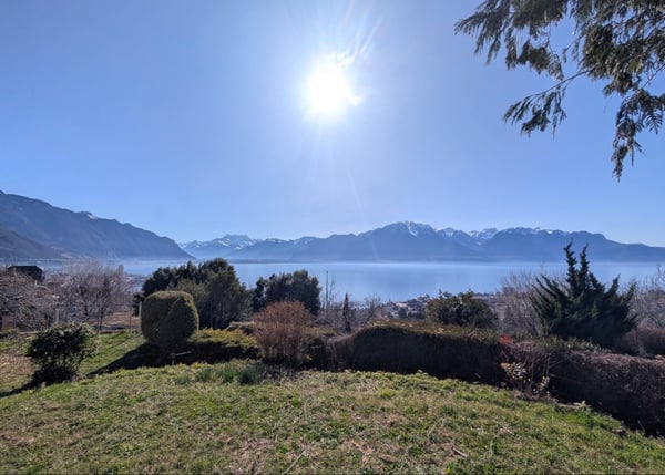 Aperçu de l'image de l'immobilier