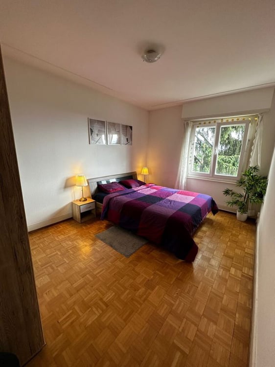 Appartement rénové avec vue partielle sur le lac 3