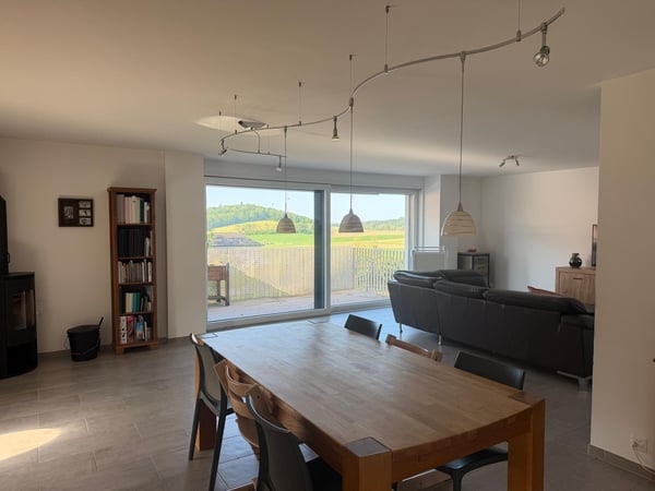 Magnifique appartement duplex dans les combles 2