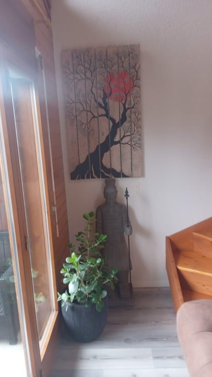 Appartement en colocation 9