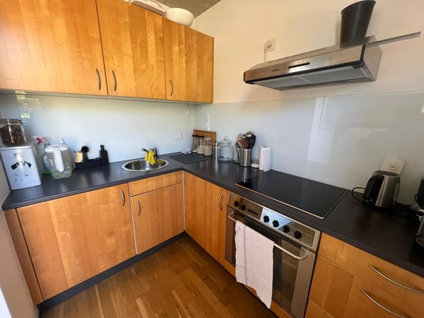 Studio meublé avec bouée privée au bord du lac de Morat 4
