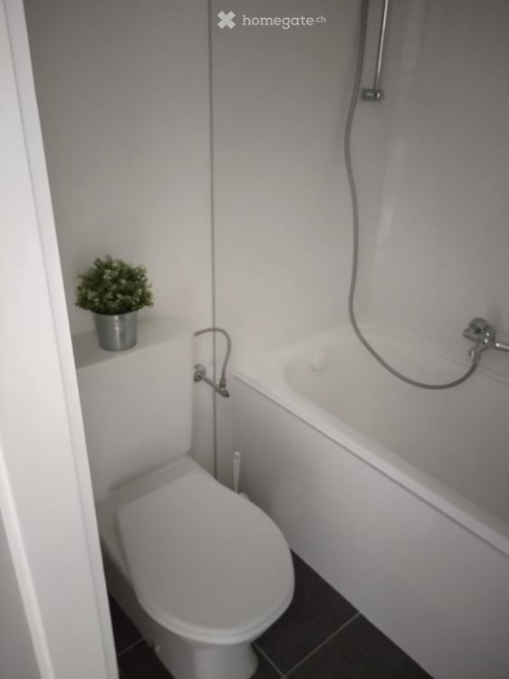 Très joli appartement au centre ville sur le pode 5