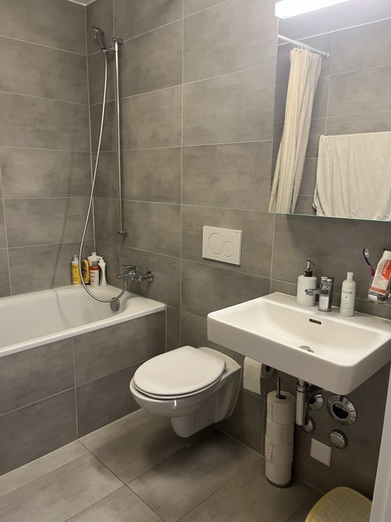 Lumineux appartement 3,5 pièces Fribourg 4