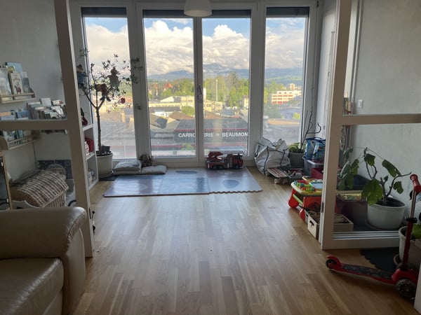Lumineux appartement 3,5 pièces Fribourg 2