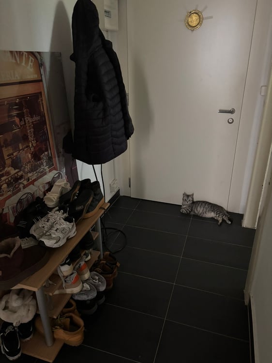Sous location pendant deux mois 2