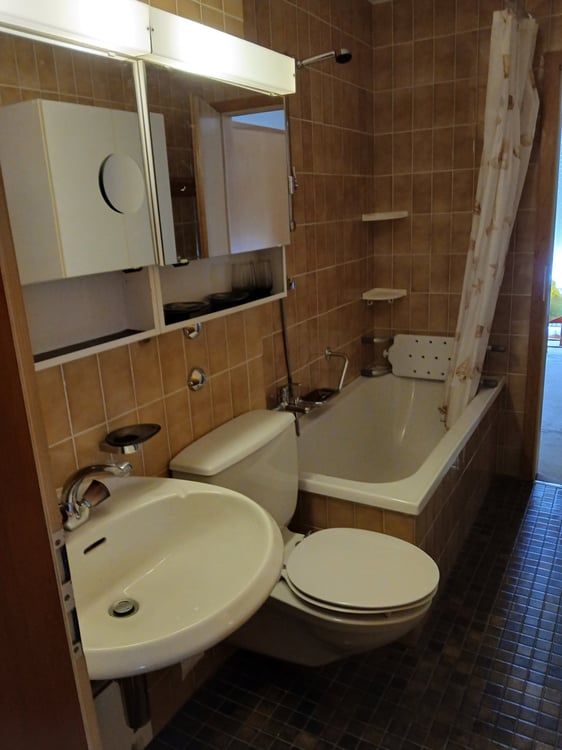joli 3.5 avec terrasse ensoleillée 4