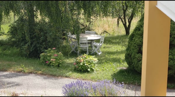 Magnifique 3,5 pièces, cheminée, terrasse, jardin et garage 5