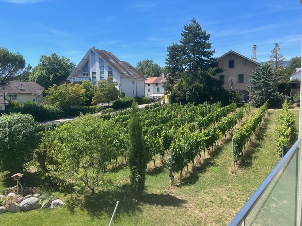 Magnifique Appartement 4,5 pièces avec Terrasse à Vich 5
