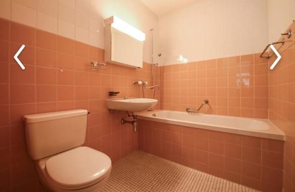 Appartement 3½ pièces à louer dès le 1er juillet 5