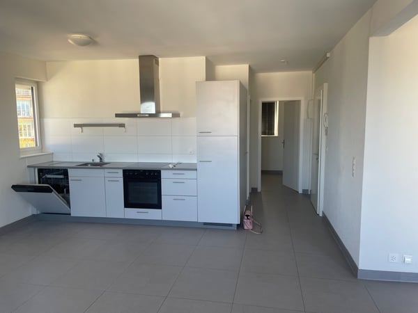 Appartement centre-ville 3.5 pièces 3