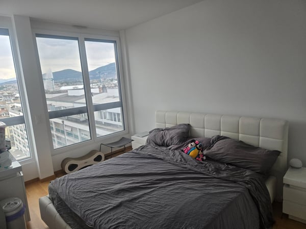 Magnifique duplex de 92 m² Vue panoramique sur le Jet d'Eau 3