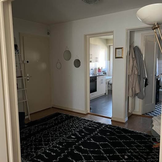 Sous-location meubé de 55 m² à Lausanne  3 mois 2