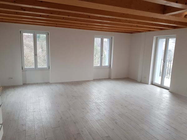 5.5 pièces en ville de Fribourg, vue exceptionnelle 3