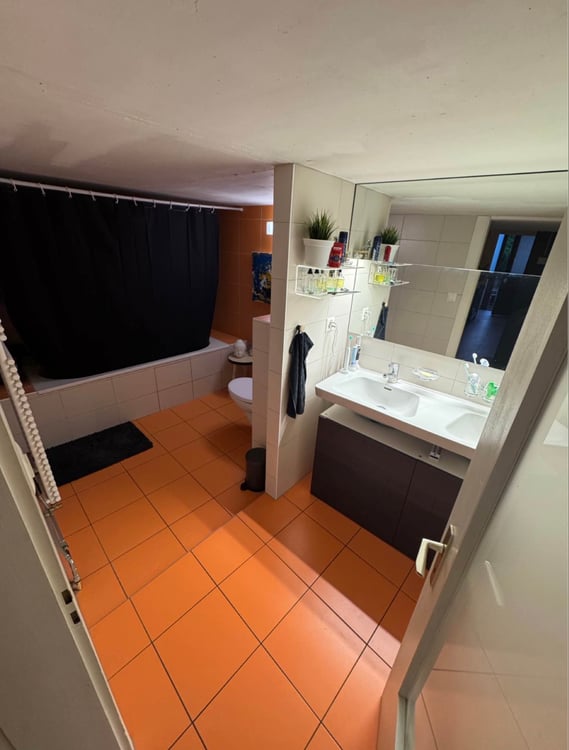 Magnifique loft duplex 4.5 pièces 150 m² Moudon 5