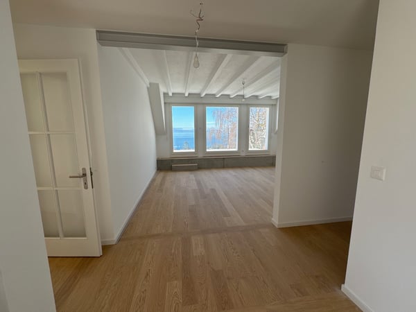 appartement de 4,5 pièces dans villa de 3 appartements. 3