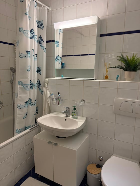 Appartement de 3 pièces situé à Plainpalais 3