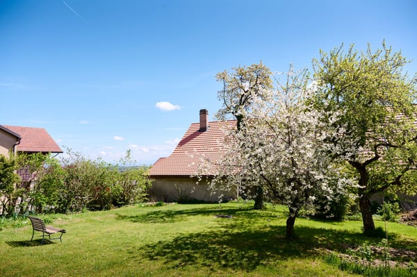 À VENDRE Propriété de caractère à Berolle 3