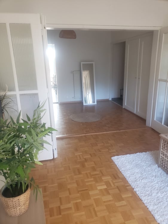 Spacieux 1.5pièce traversant avec balcon(Sous-Location 1007) 4